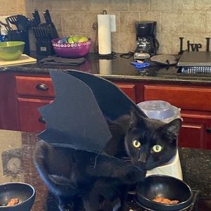 Meet your Posher, Leslie